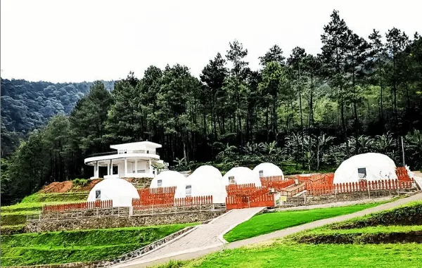 penginapan alam malang glamping